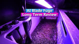 AI Blade AI Refugium Long Term Review [upl. by Alley882]