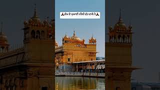 Waheguru ji ❤️ ￼viralvideo punjabistatus goldentemplel gurdwara gururamdasji viralvideo short [upl. by Esydnac]