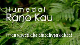 Manavai de Biodiversidad documental 2013 [upl. by Daloris77]