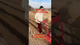 Competitive Price Agricultural Machine Farm Tractor Garden Rotary Mini Tiller Cultivator Power [upl. by Draned50]