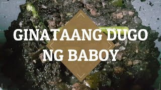 Ginataang Dugo ng Baboy  Paiga sa Gata  Dinuguan  Blood Stew [upl. by Phare262]