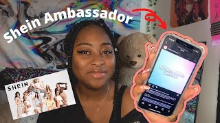 Shein Campus Ambassador  My Experience  How to Apply amp Tips [upl. by Arelus]