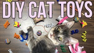 5 Easy Cat Toys Kids Can Make at Home [upl. by Gefell323]