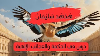 قصة الهدهد مع سليمان  درس في الحكمة والإيمان [upl. by Antonella]