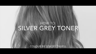 How to get a Perfect Silver Grey Toner using Fanola [upl. by Gladine620]