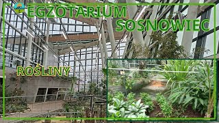 Egzotarium Sosnowiec  Pawilon Główny [upl. by Amsa]