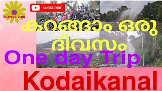 Kodaikanal one day Trip കൊടൈക്കനാൽ ഒരു ദിവസം കറങ്ങാൻ [upl. by Hube]