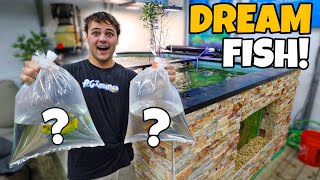 Buying My DREAM FISH for SALTWATER REEF POND [upl. by Ahcsas]