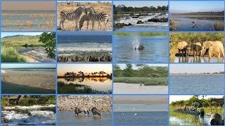 SA Ramsar  overview of 28 wetlands [upl. by Hotchkiss499]