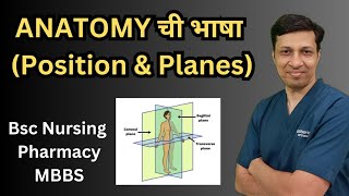 Anatomy तील विविध body positions आणि body PlanesAnatomical Planes and positions [upl. by Kendell33]