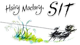 Hairy Maclary Sit  Lynley Dodd  Illustrated Audiobook [upl. by Esyned850]