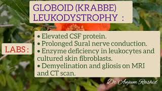 Globoid Cell Leukodystrophy  Krabbe Disease Cause Onset Symptoms Diagnosis amp Treatment [upl. by Bouzoun]