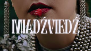 TRAVA  MIADZVIEDZ Official Music Video ТРАВА  МЯДЗВЕДЗЬ [upl. by Formenti]