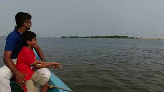 A day trip to pulicat lake chennai pulicatlake viyannilan [upl. by Armillia385]