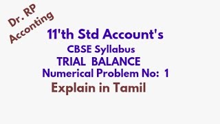 Trial Balance 11th CBSE Accounts Explanation [upl. by Enneire]