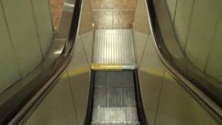 Montgomery GampP Escalators at Macys Westfield UTC [upl. by Ayk]