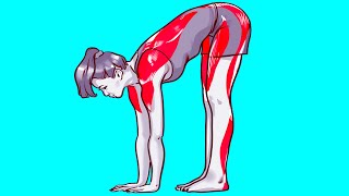 8 Simple Exercises to Relieve Leg and Knee Pain [upl. by Aniarrol142]