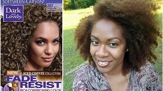 How I Color My Natural Hair with Dark amp Lovely Cool Latte 352  Naturally Michy [upl. by Martha]