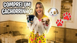 ESCOLHENDO MEU NOVO CACHORRINHO [upl. by Humfried]