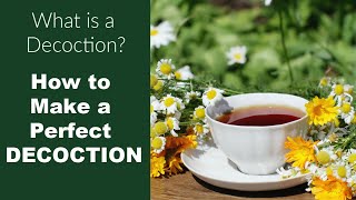 What is a Decoction and How Do You Make One [upl. by Holmen584]