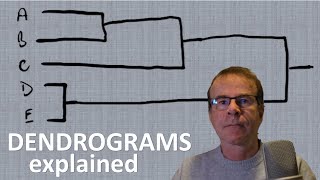 Hierarchical Clustering DENDROGRAMS  what are they and how are they used [upl. by Woodcock]