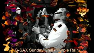 PURPLE RAIN GSAX LIVE  TINA BAR ZURICH [upl. by Castra]