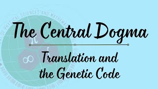 Central Dogma Part 3 Translation and the Genetic Code [upl. by Ziana]