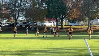 Mangere East Hawks Red vs Manurewa Marlins [upl. by Suoicerp3]