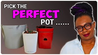 Stop Killing Your Plants Choosing The Perfect Pot For Soiltoleca Transfers [upl. by Laira]