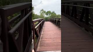 Gooseberry Falls State Park waterfall nature hiking new shorts outdoors [upl. by Yentruok]