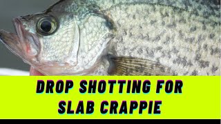 How to Catch Crappie with a Drop Shot Rig [upl. by Annagroeg265]