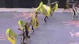 Seminole HS Winter Guard 2005 [upl. by Billen123]