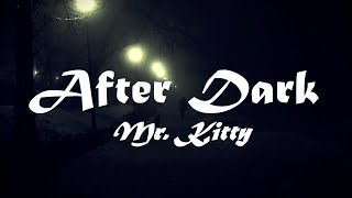 Mr Kitty  After Dark Lyrics  Soothing Vibes  Peace [upl. by Wynn237]