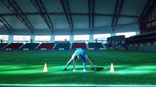 Dynamic Warm Up Hamstrings amp Adductors stretch to Push up Lukasz Lojas [upl. by Larentia]