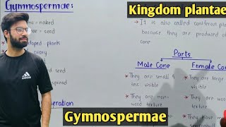 Life cycle of pinus  gymnosperms Characteristics  Class 11 Biology [upl. by Nylorak]