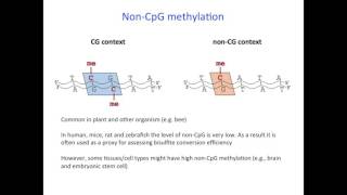 Tips and Considerations for Genomewide DNA methylation and RRBS Dr Aniruddha Chatterjee [upl. by Nirual]