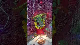 🙏🌹🪔Sita Tulsi manaosong tulsi love sorts viralvideo bhajan youtubeshorts tu [upl. by Eronel]