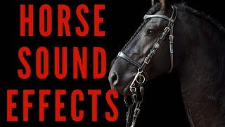 HORSE SOUND EFFECTS  Neighing Horses [upl. by Joacima]