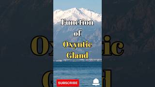 Function of Oxyntic Gland shorts facts biolgy knowledge [upl. by Nauwaj166]