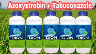 Dion fungicide ।azoxystrobin  Tabuconazole use।।use। price। Dose। [upl. by Ebocaj523]