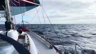 2024 pacific cup Downwind racing [upl. by Frannie591]