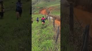 O boi colocou pra correr 😂😂😂 vamosrir shortvideos shortsviral vemrir fy fazenda shorts [upl. by Cirtemed]