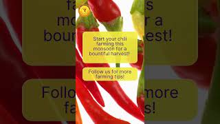 Chili Planting Guide for Telangana The Perfect Time to Start chilifarming  TelanganaFarming [upl. by Francis]