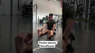 Flexion plantar amp Dorsiflexion [upl. by Patman]