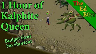 1 Hour of Kalphite Queen Solo  OSRS KQ Budget Gear Examples [upl. by Alakcim]