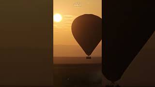 Sunrise Balloon Safari  Wildlife ShortsAfrica [upl. by Eduard]