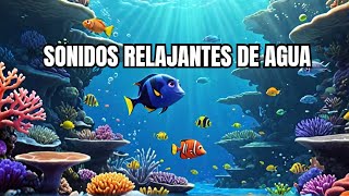 Sonidos de Agua Relajantes con Animales  Música para Estudio Trabajo y Descanso en Casa [upl. by Neff266]