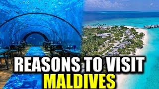 5 Reasons Why You Should Visit Maldives In 2024 [upl. by Colette]