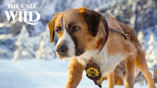 Des Chiens de Traineaux dans une Avalanche Extrait  LAppel de la Forêt 2020 Omar Sy [upl. by Ayeki]