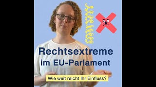 Rechtsextreme im Europäischen Parlament 2024 shorts [upl. by Jotham627]